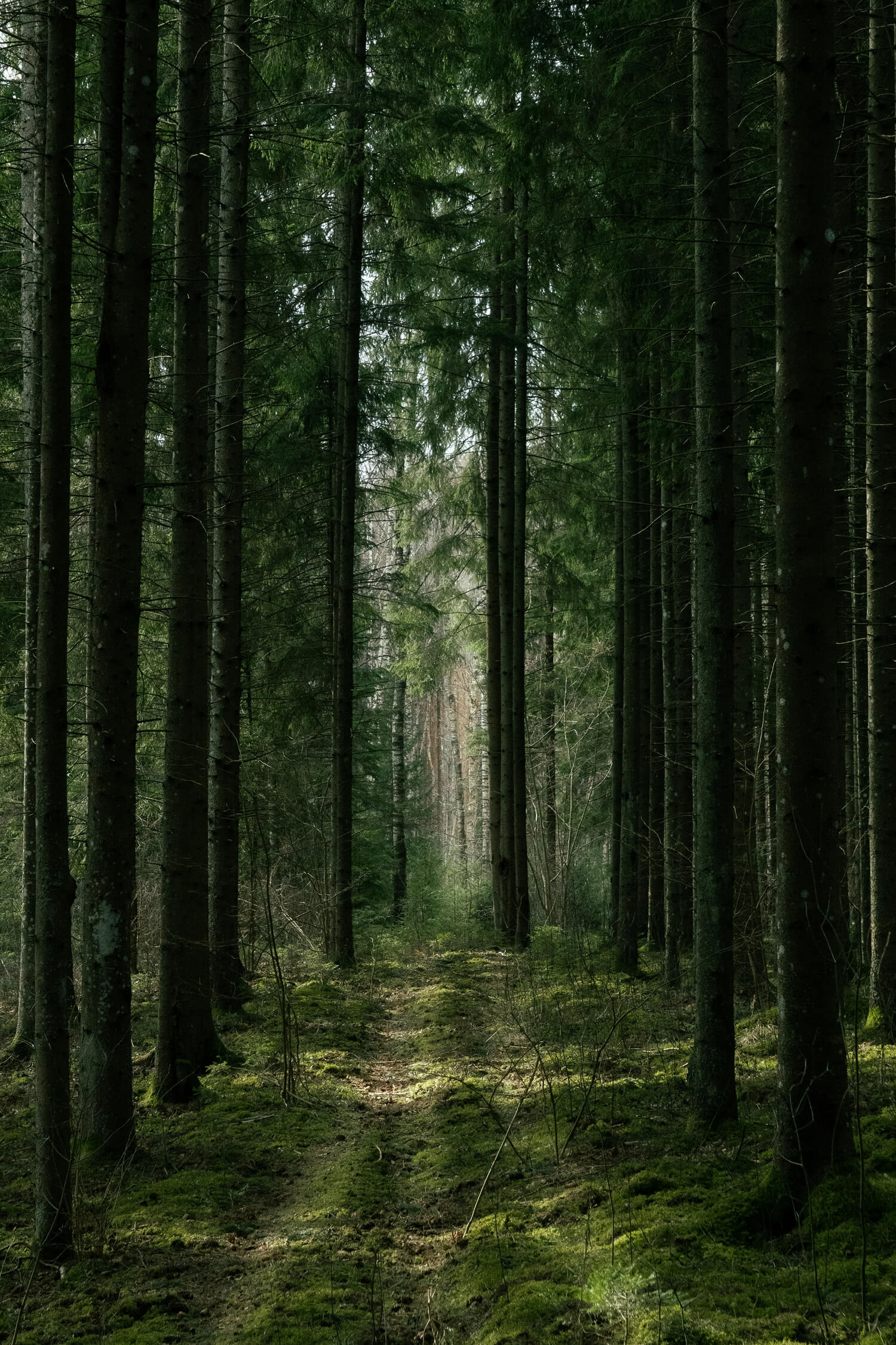 Заголовок второго слайда