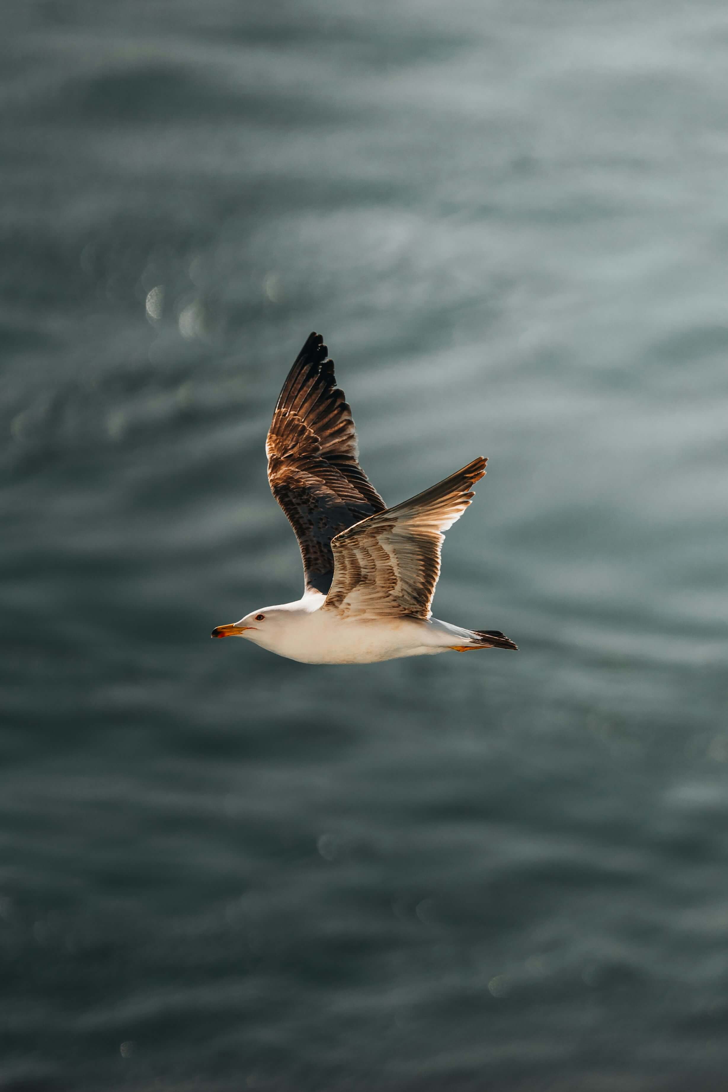 Заголовок третьего слайда